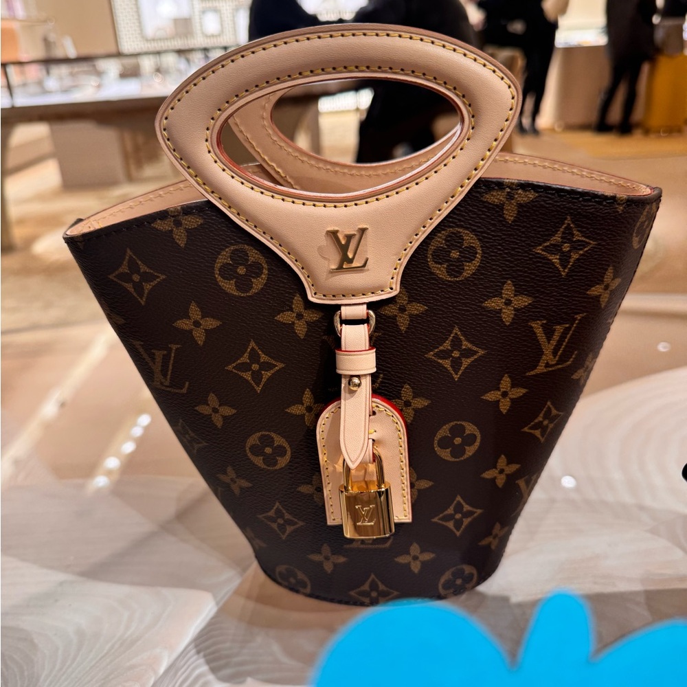 Louis Vuitton   BNWT -RUNWAY BAG Spring / Summer 2025 ,Rivage BB Sold out